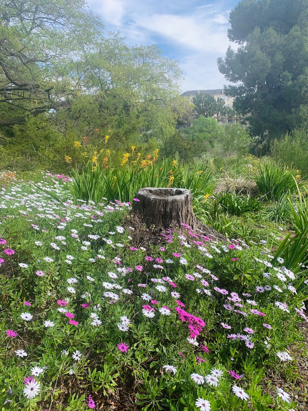 University of California Irvine Arboretum | Campus Dr and Jamboree Rd, Irvine, CA 92697, USA | Phone: (949) 824-5833