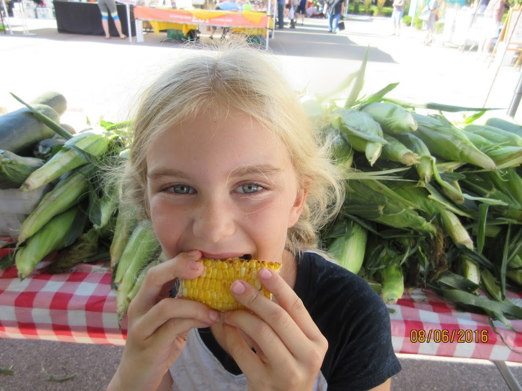 Wayzata Farmers Market | Great Village Lawn, 850 Lake St N, Wayzata, MN 55391 | Phone: (763) 238-2702