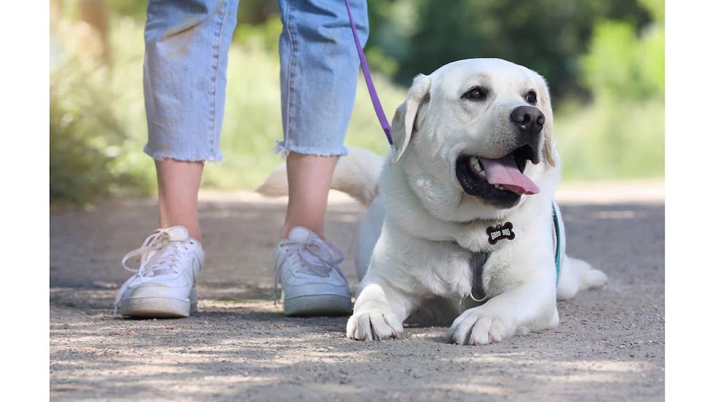 Quick-Tag | Walmart Supercenter, 41200 Murrieta Hot Springs Rd, Murrieta, CA 92562, USA | Phone: (888) 600-8247