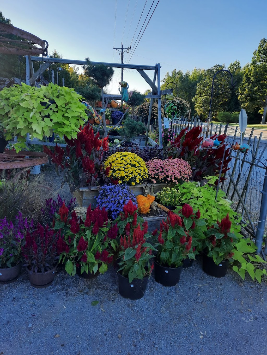 Pleasant View Nursery And Florist - True Local | 7070 US-41 ALT, Pleasant View, TN 37146, USA | Phone: (615) 247-8527