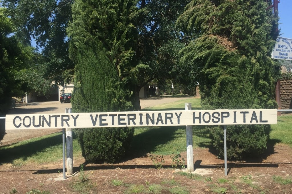 Country Veterinary Hospital | 10473 Aleilani Ln, Elk Grove, CA 95624, USA | Phone: (916) 686-6460