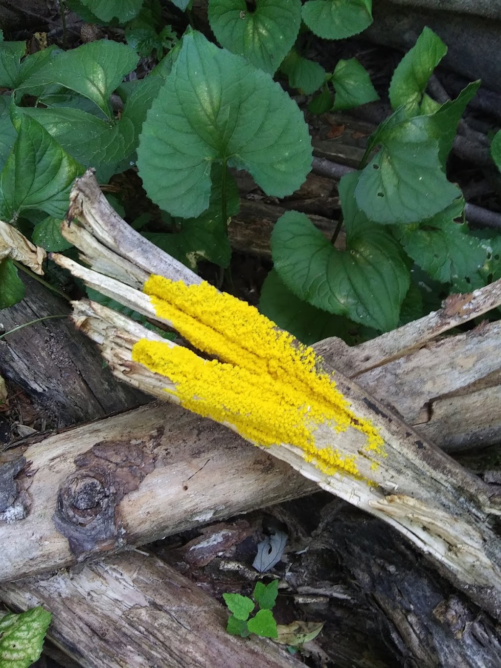 Roadside LLC | 967 Stone Mountain Rd, Stoneville, NC 27048, United States | Phone: (336) 573-3019