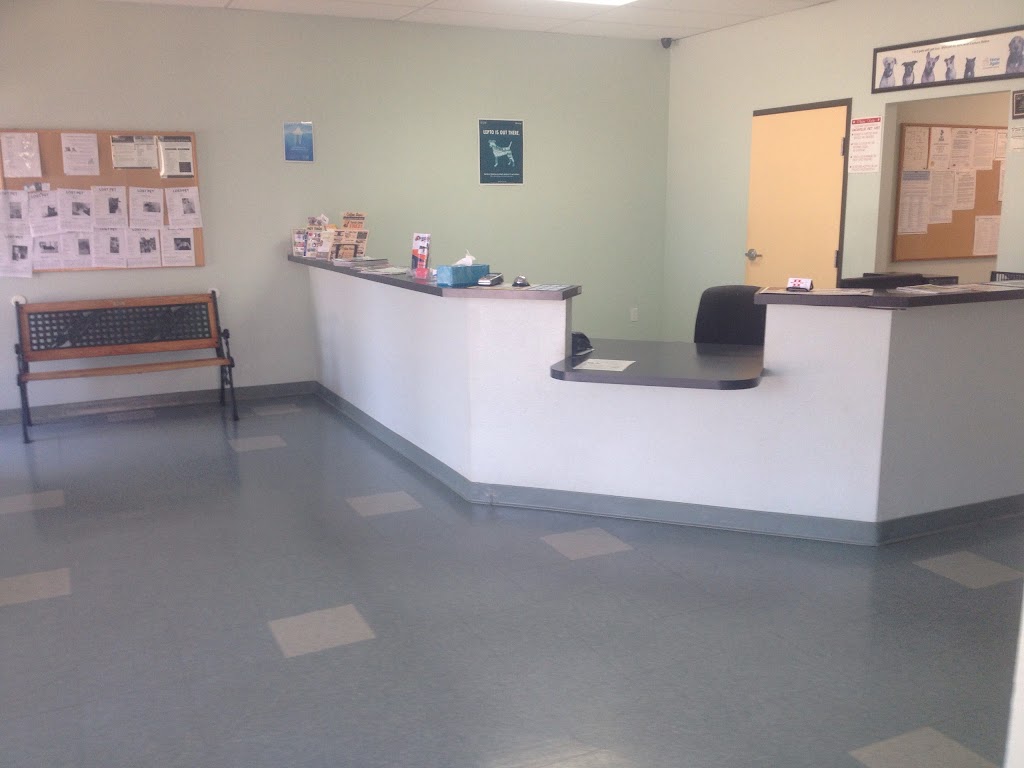 Vacaville Pet Vet Clinic, Inc. | 1909 Peabody Rd #1, Vacaville, CA 95687, USA | Phone: (707) 455-8383