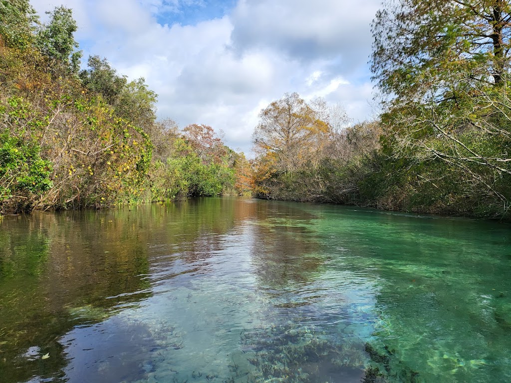 Weeki Wachee Springs State Park | 6131 Commercial Way, Spring Hill, FL 34606, USA | Phone: (352) 610-5660