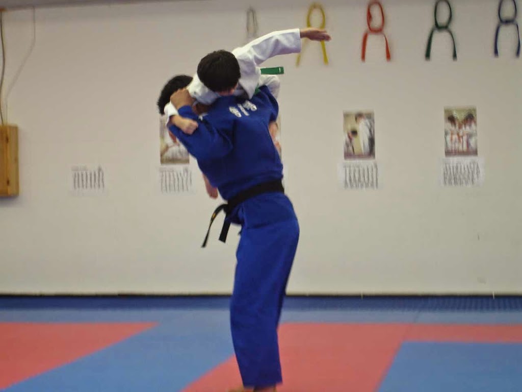 Houston Judo Academy | 5130 East Sam Houston Pkwy N, Houston, TX 77015, USA | Phone: (281) 616-3035