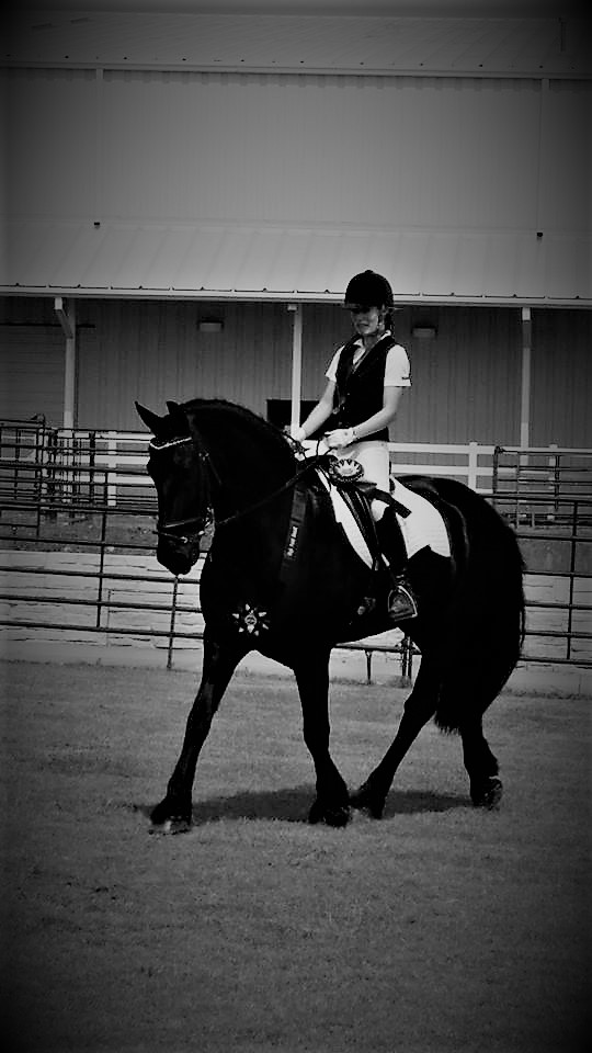 MC Equestrian LLC | 830 W Washington St, Purcell, OK 73080, USA | Phone: (918) 899-8150