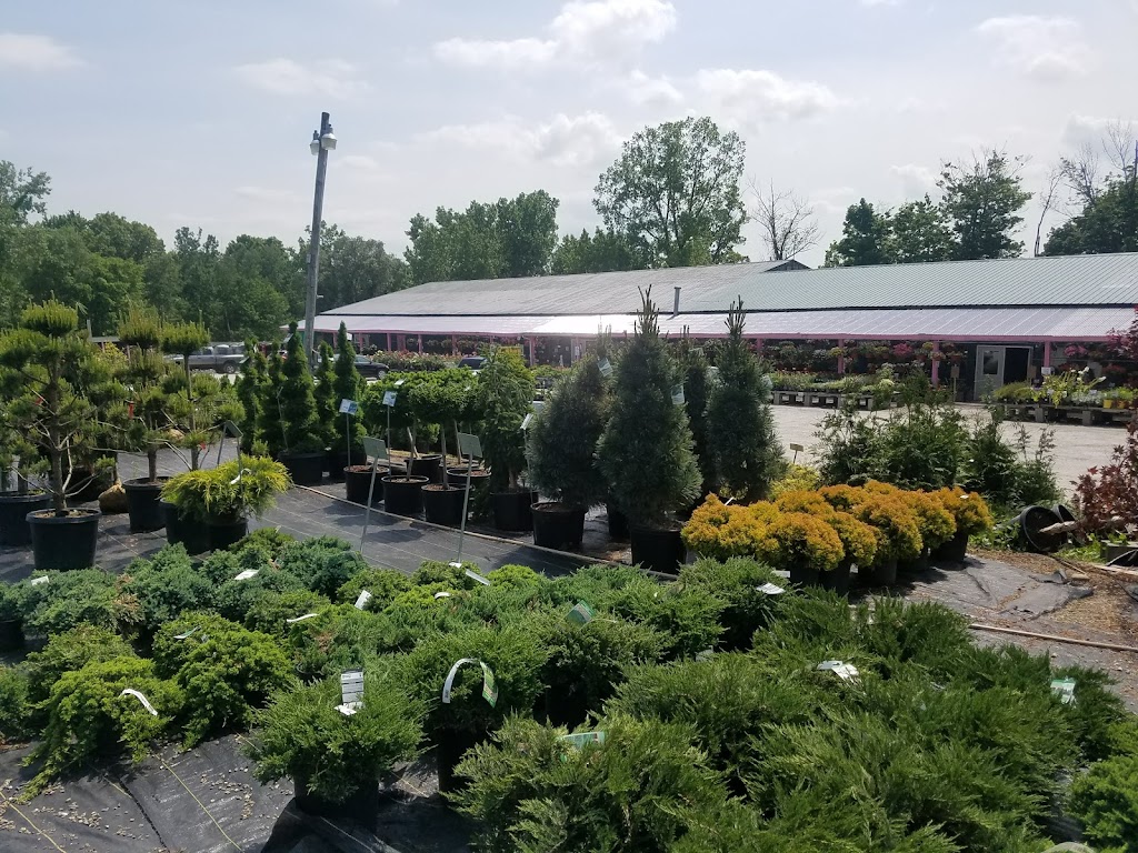 Hewitts Garden Centers E Greenbush | Corner Rt 4 and I-90, East Greenbush, NY 12061, USA | Phone: (518) 283-2159