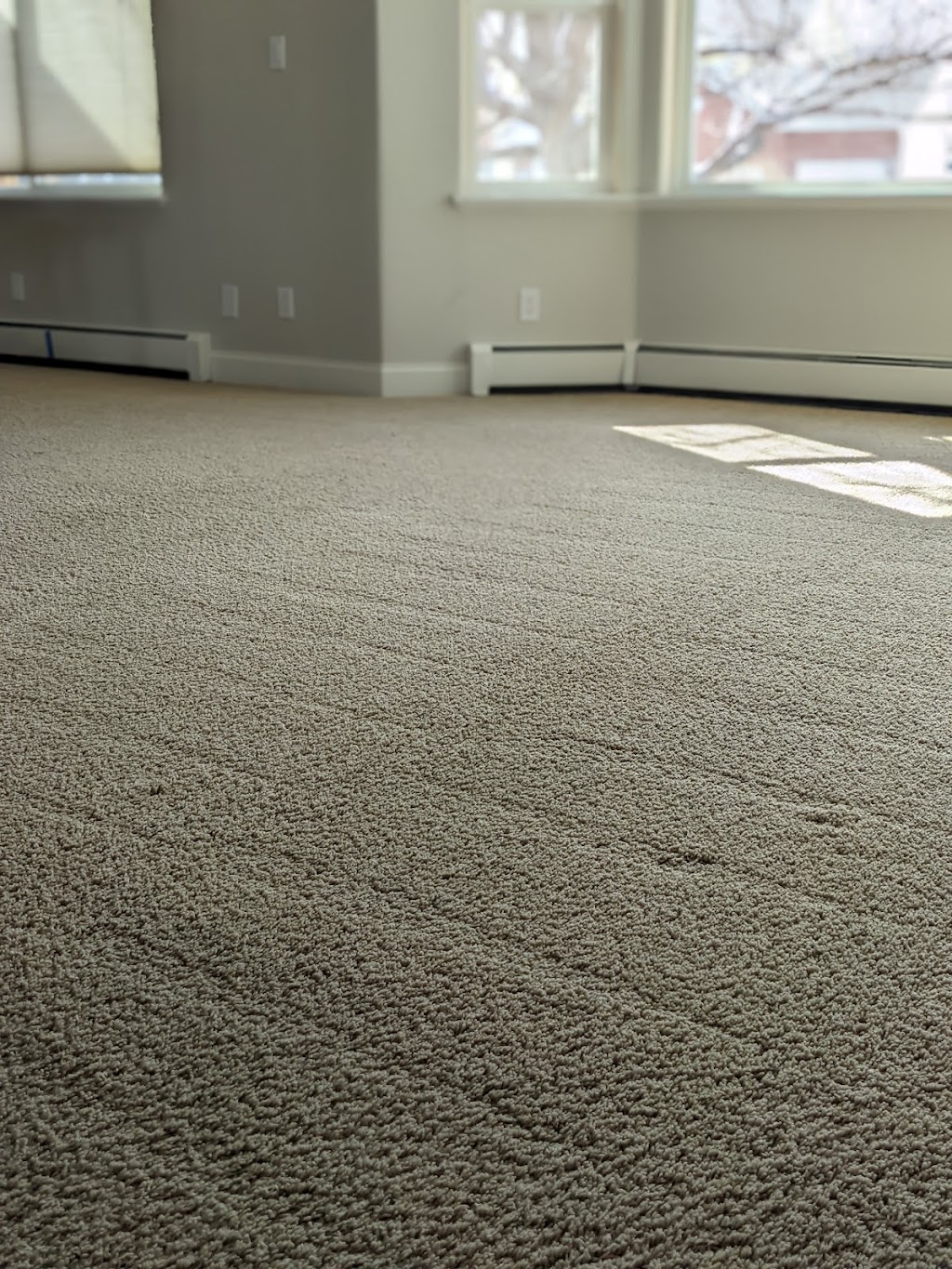 Affordable Clean Carpet LLC | 14572 Longhorn Dr, Mead, CO 80542, United States | Phone: (720) 340-1186