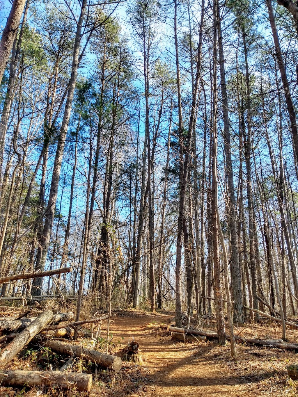 Seven Mile Creek Natural Area | 2201 Moorefields Rd, Hillsborough, NC 27278, USA | Phone: (919) 245-2660