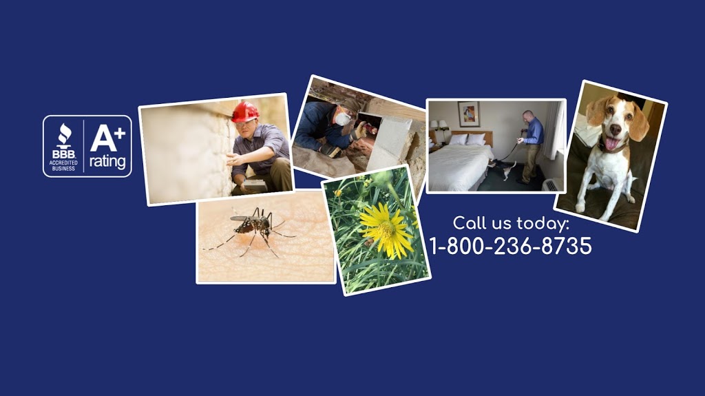 Wil-Kil Pest Control | 2803 Capitol Dr #3, Sun Prairie, WI 53590, USA | Phone: (608) 825-1000