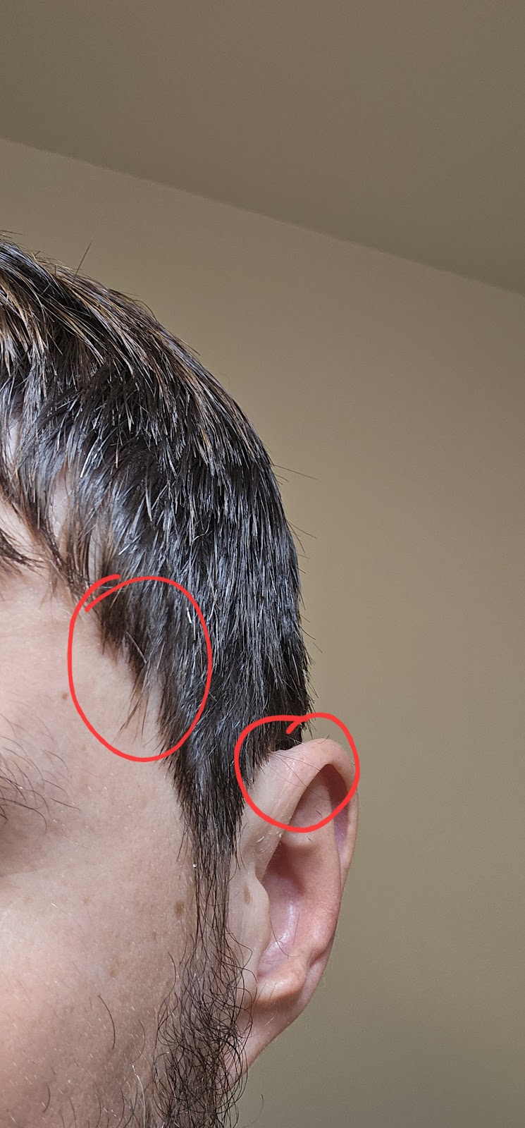 SUPERCUTS | 5138 Stevens Creek Blvd, San Jose, CA 95129, USA | Phone: (408) 852-1046