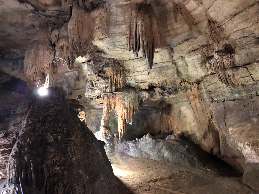 Rickwood Caverns State Park | 370 Rickwood Park Rd, Warrior, AL 35180, USA | Phone: (205) 647-9692