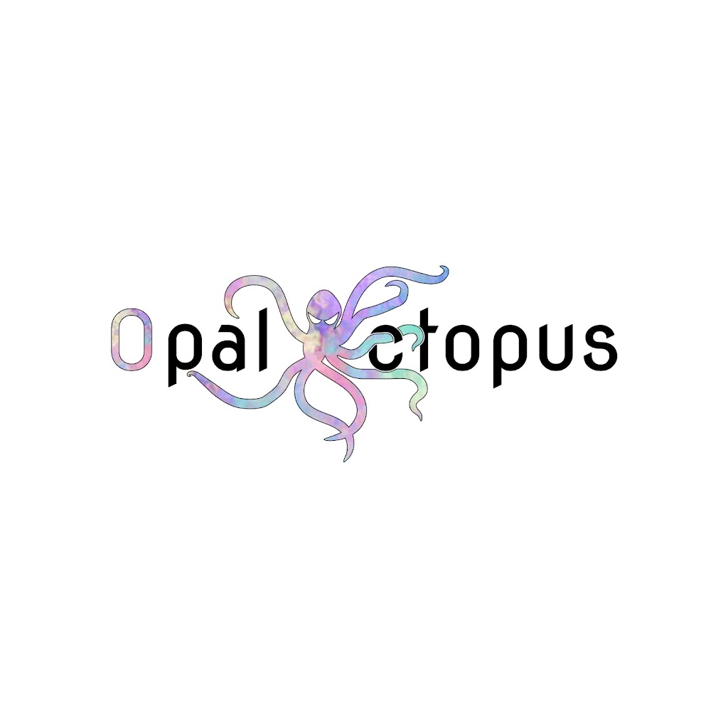 Opal Octopus | 179 W Klosterman Rd, Tarpon Springs, FL 34689, USA | Phone: (727) 692-7108