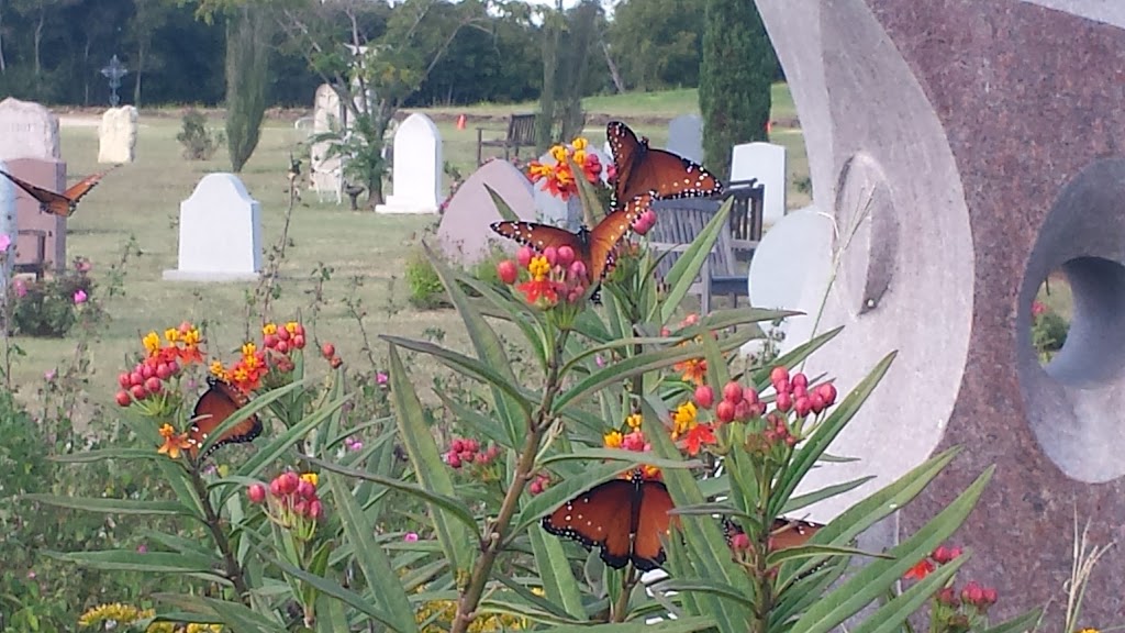 Our Lady Of The Rosary Cemetery | 330 Berry Ln, Georgetown, TX 78626, USA | Phone: (512) 863-8411