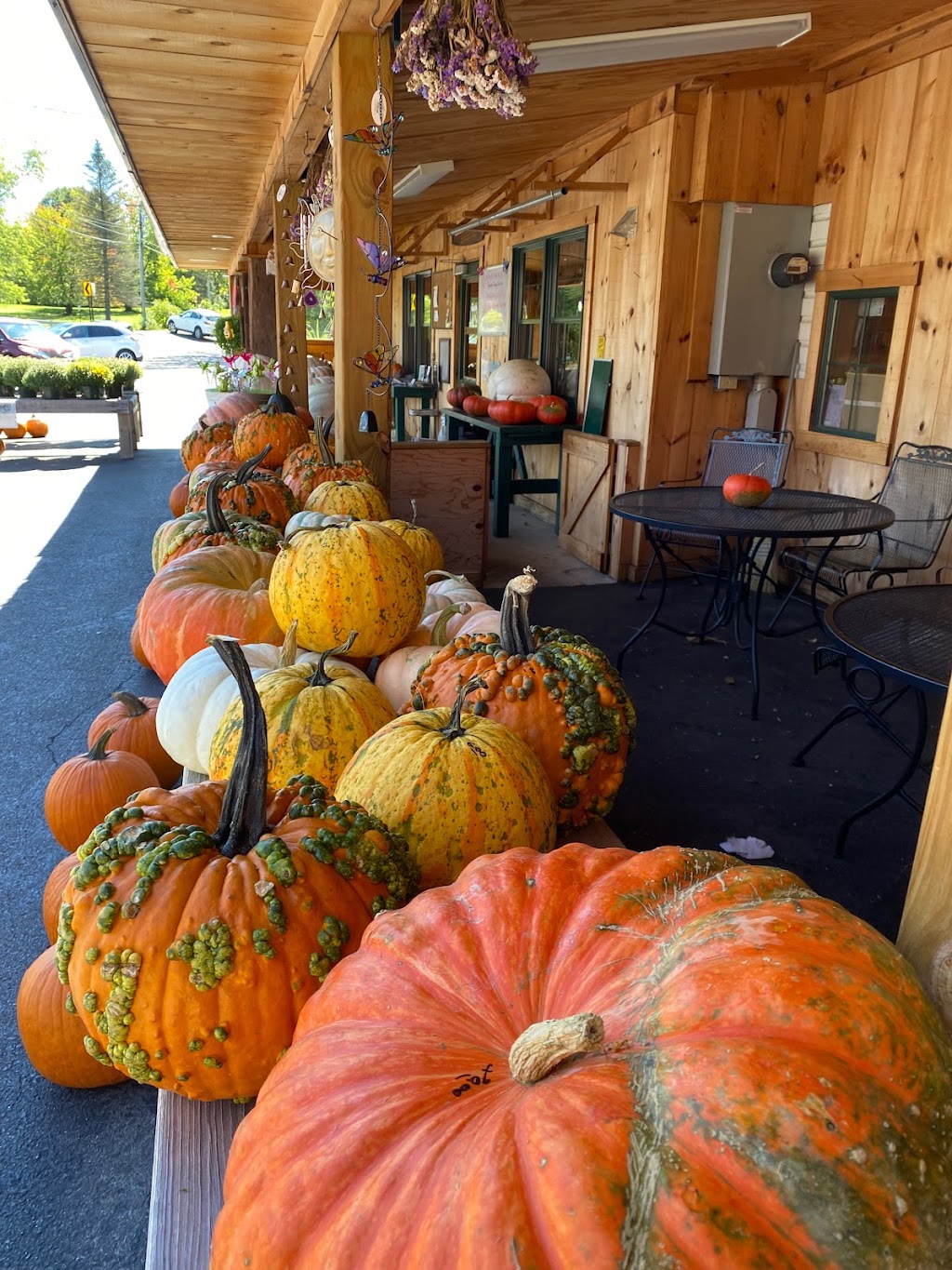 Lakeside Farms | 336 Schauber Rd, Ballston Lake, NY 12019, USA | Phone: (518) 399-8359