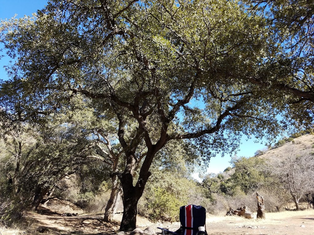 Peppersauce Campground | S Mt Lemmon Rd, Oracle, AZ 85623, USA | Phone: (520) 388-8300