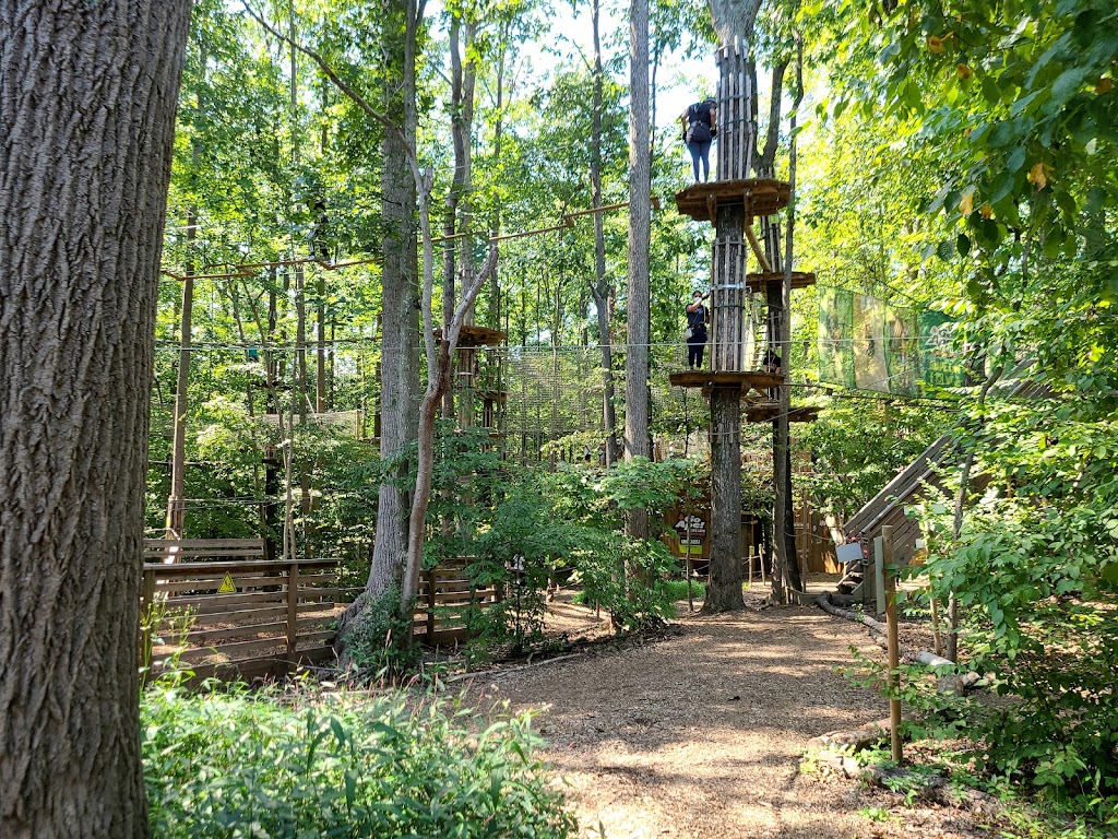 Go Ape Zipline and Adventure Park | 7550 Reservation Dr, Springfield, VA 22153, USA | Phone: (800) 971-8271