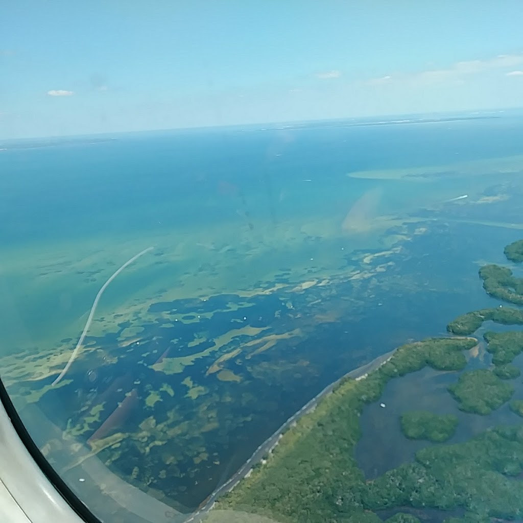 Tampa Bay Estuarine Ecosystem Rock Ponds Area | 100 8th Ave SE, St. Petersburg, FL 33701, USA | Phone: (727) 893-2765