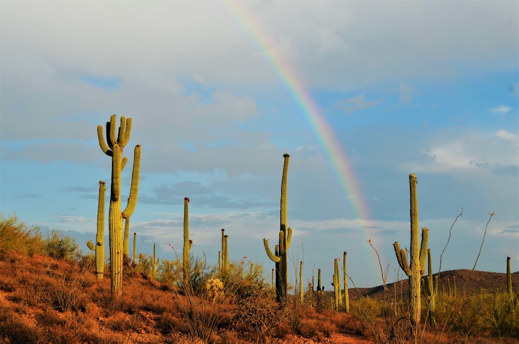 Pima County 36th Street Trailhead | 3280 W 36th St, Tucson, AZ 85713, USA | Phone: (520) 877-6000