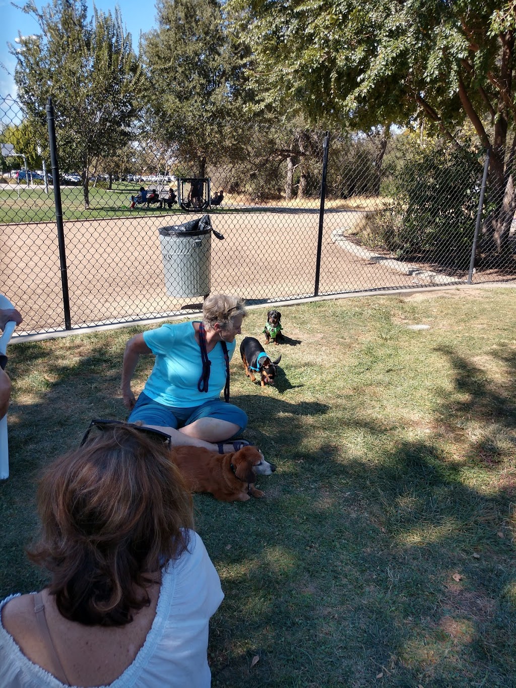 Hughes Park Off Leash Dog Park | 1600 Parkside Way, Roseville, CA 95747, USA | Phone: (916) 774-5200