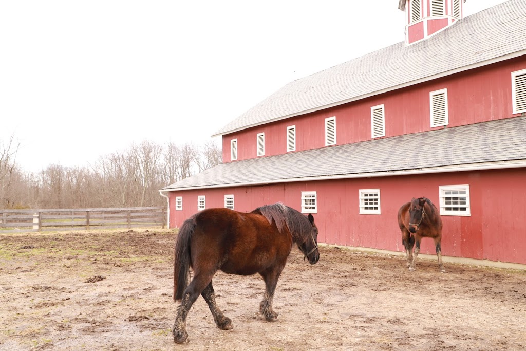 Slate Run Living Historical Farm | 9130 Marcy Rd, Ashville, OH 43103, USA | Phone: (614) 833-1880