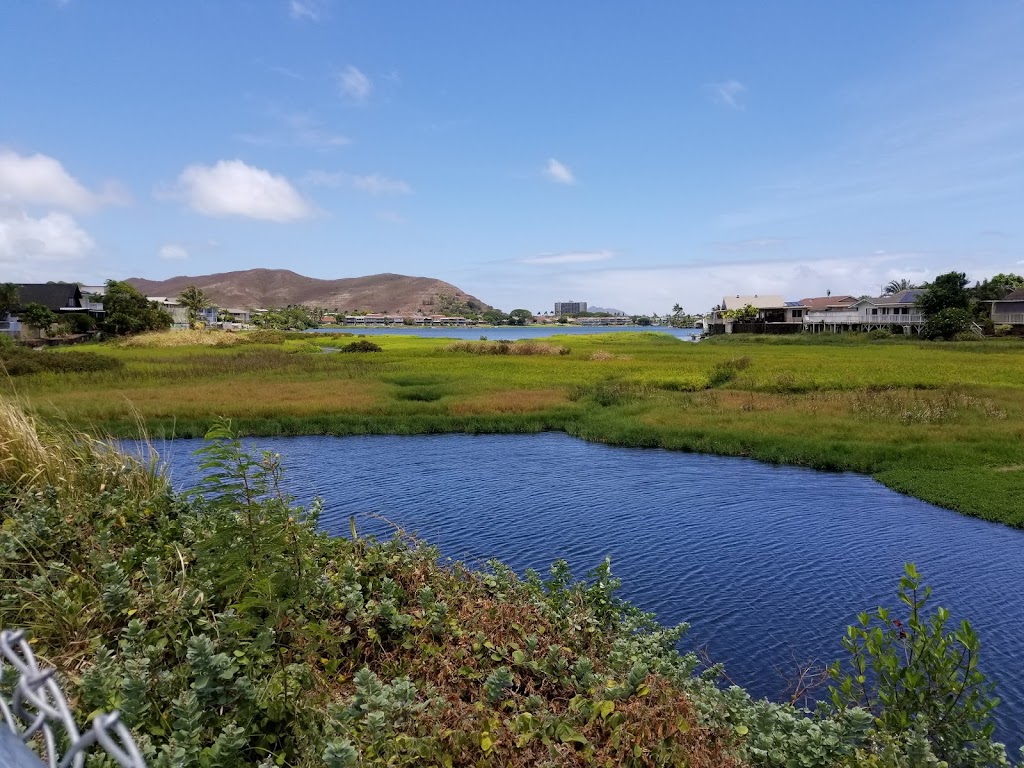 Kaelepulu Wetland Bird Preserve | 1460 Kiukee Pl, Kailua, HI 96734, USA | Phone: (808) 261-2179