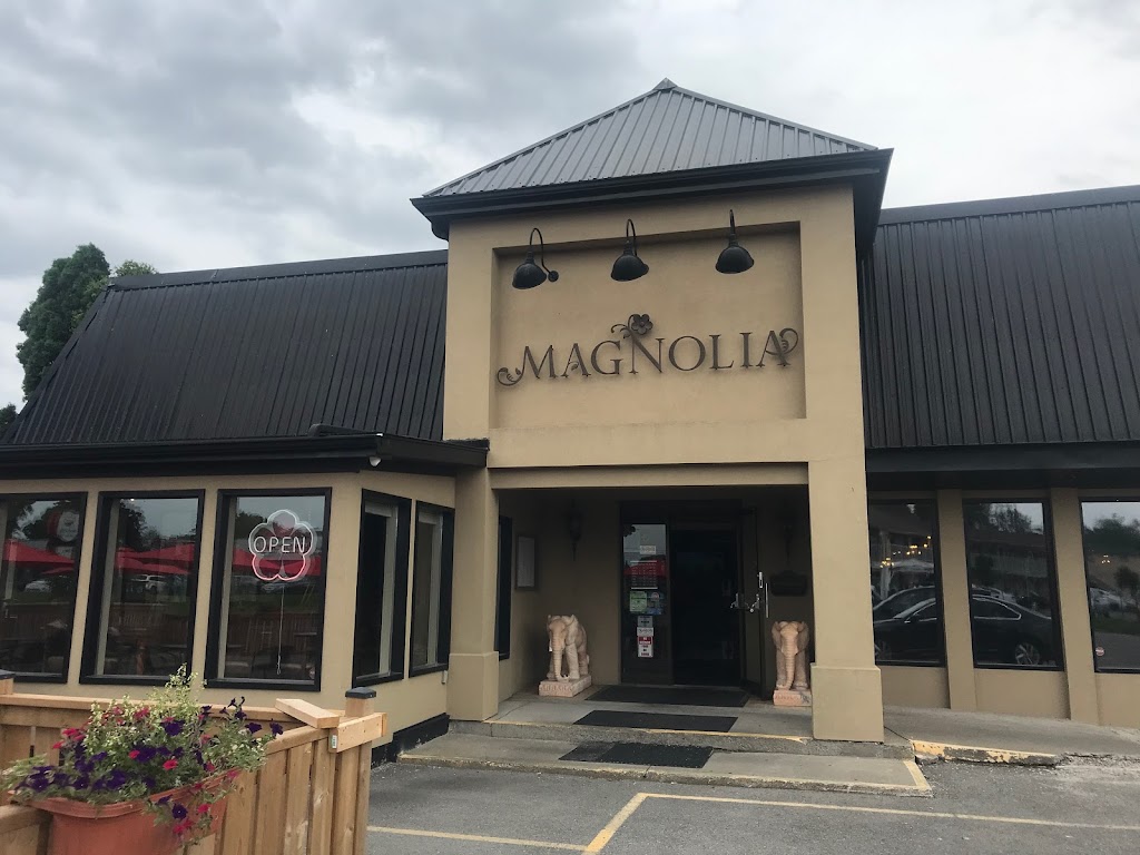 Magnolia Chinese Cuisine | 7666 Lundys Ln, Niagara Falls, ON L2H 1H1, Canada | Phone: (905) 356-3388