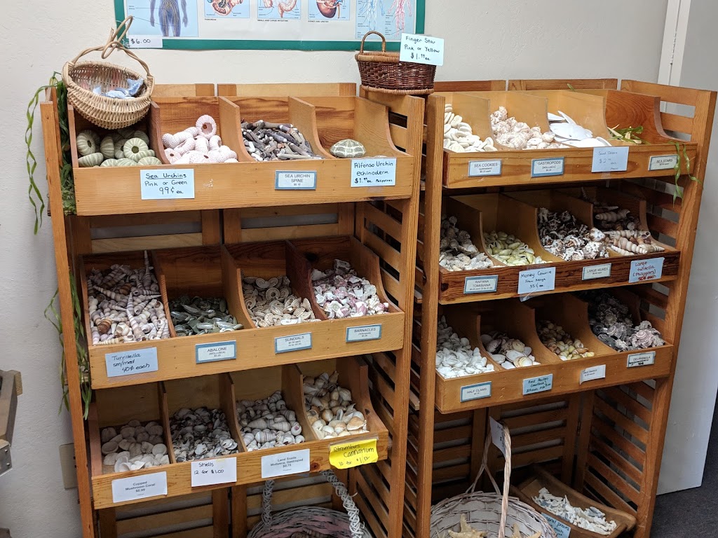 Childrens Natural History Museum | 4074 Eggers Dr, Fremont, CA 94536, USA | Phone: (510) 790-6284