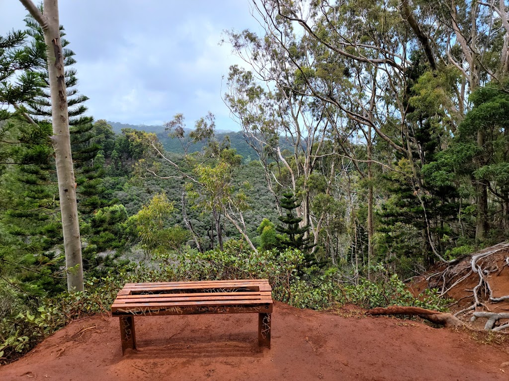 ʻAiea Loop Trailhead | 99-1849 Aiea Heights Dr, Aiea, HI 96701, USA | Phone: (808) 733-9104