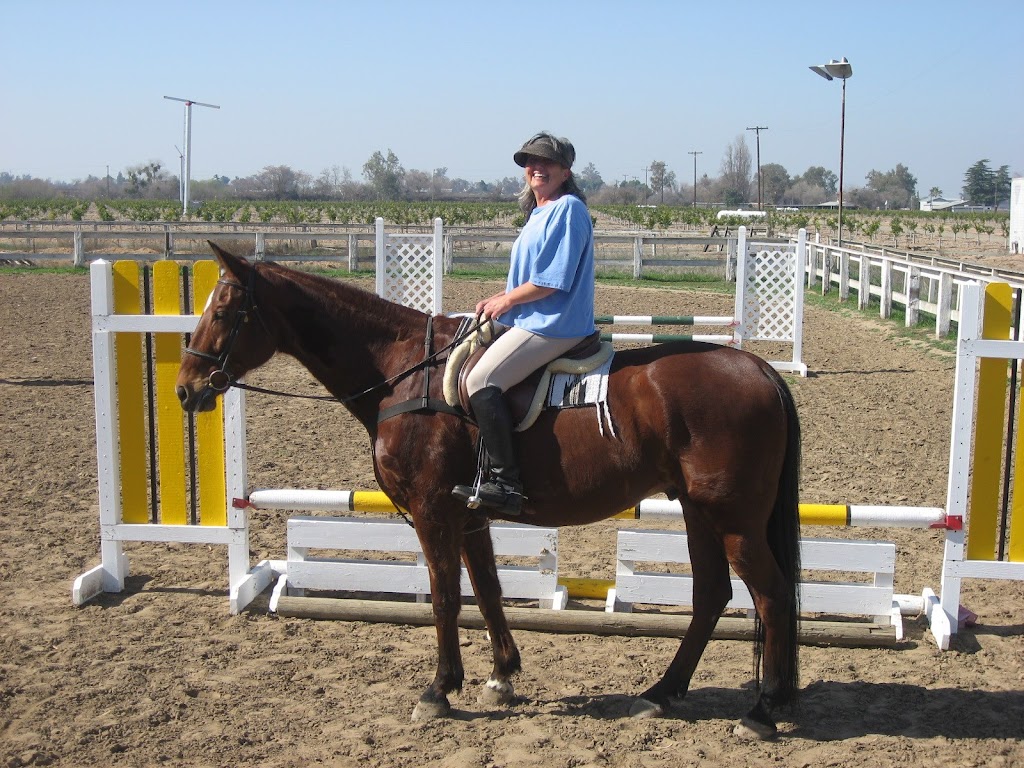 Tally Ho Horse Park | 12263 E Paul Ave, Clovis, CA 93619, USA | Phone: (559) 323-9046