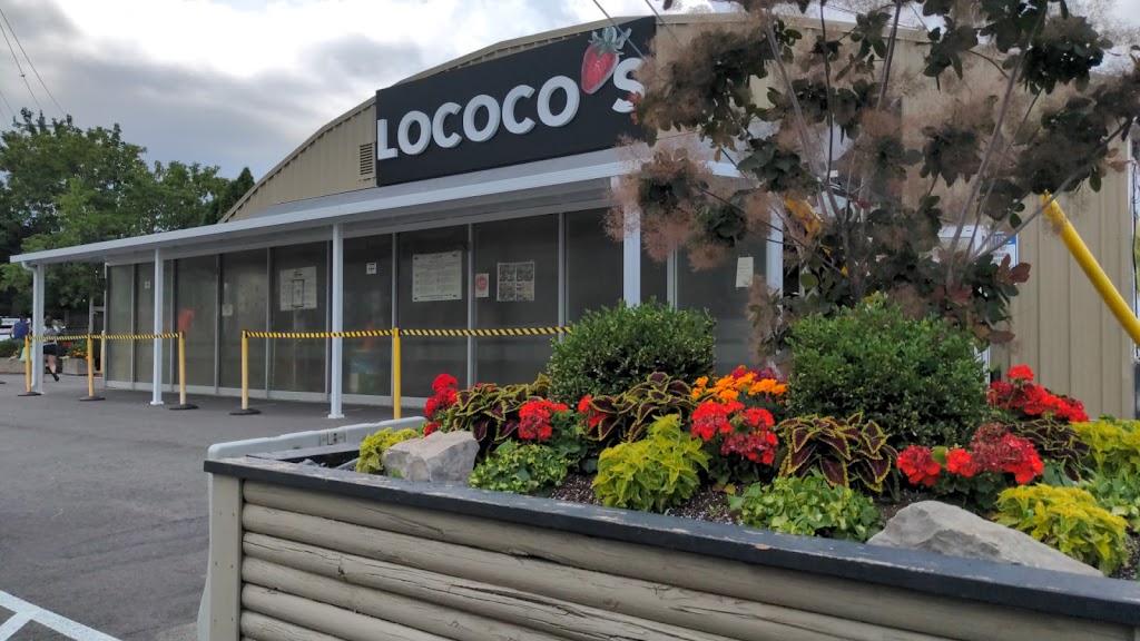 Lococos | 4167 Victoria Ave, Niagara Falls, ON L2E 6V2, Canada | Phone: (905) 358-3281