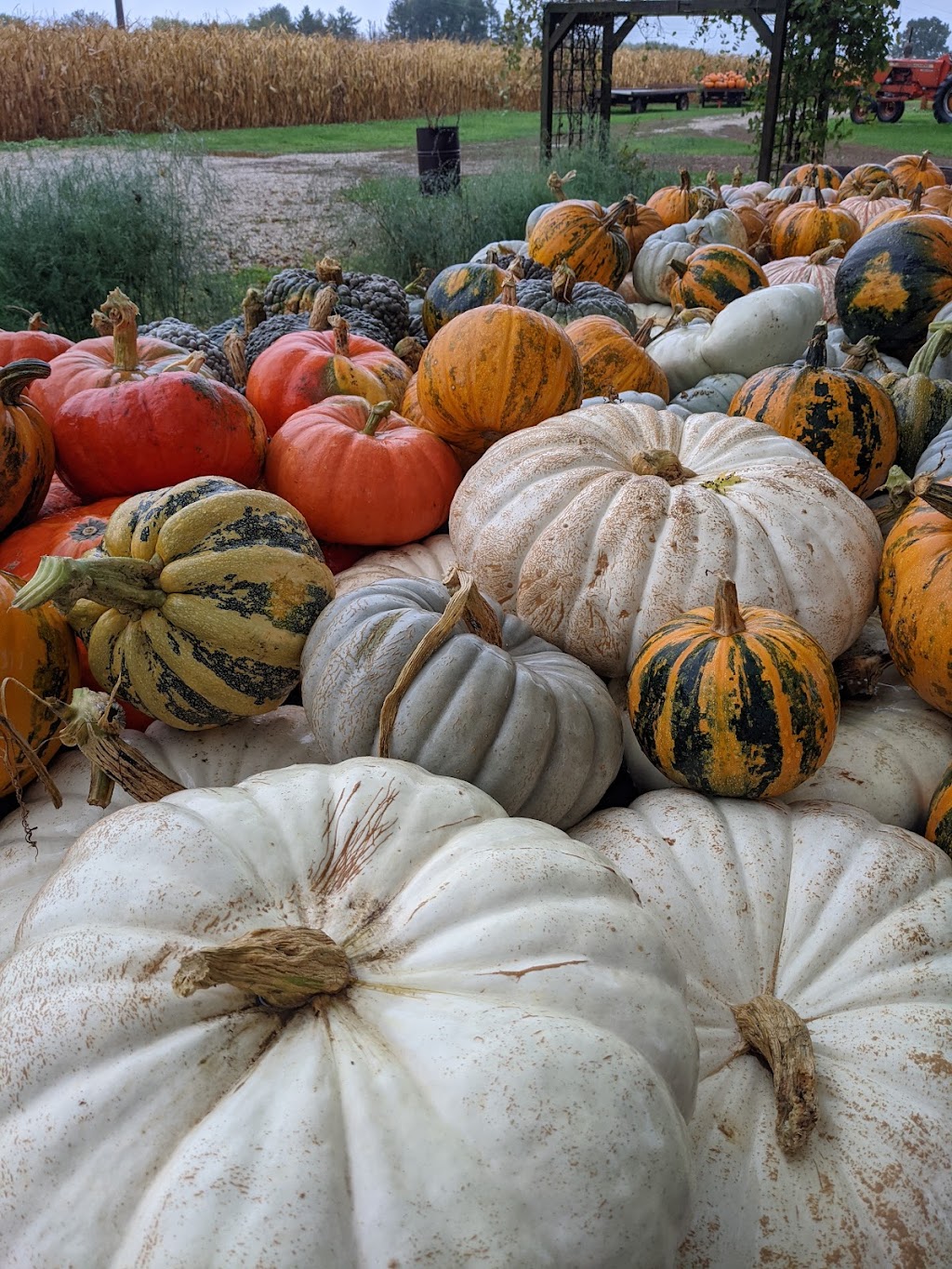 Hermanson Pumpkin Patch | 127 County Hwy N, Edgerton, WI 53534, USA | Phone: (608) 751-9334