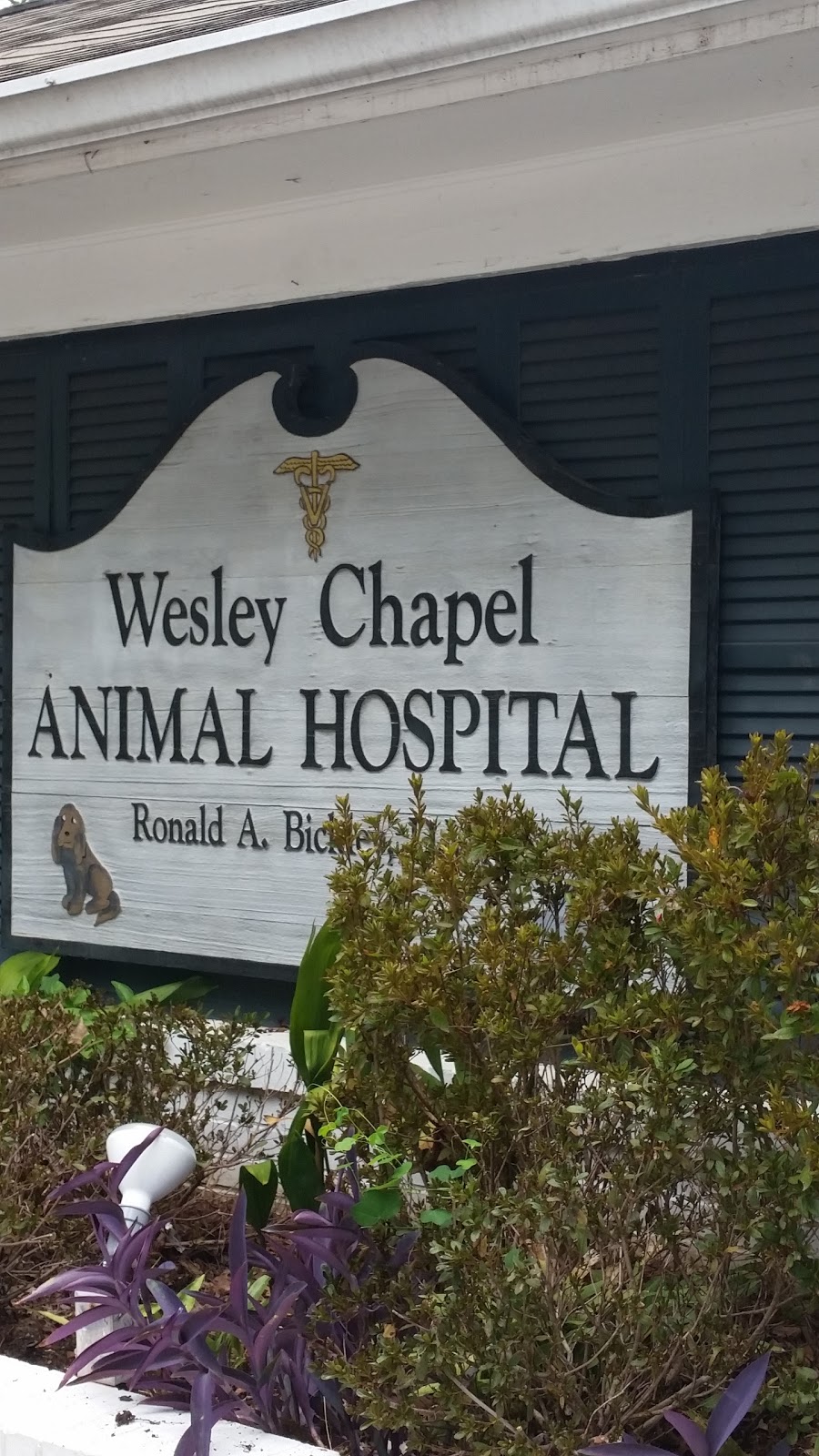 Wesley Chapel Animal Hospital | 4832 Covington Hwy, Decatur, GA 30035, USA | Phone: (404) 289-0900