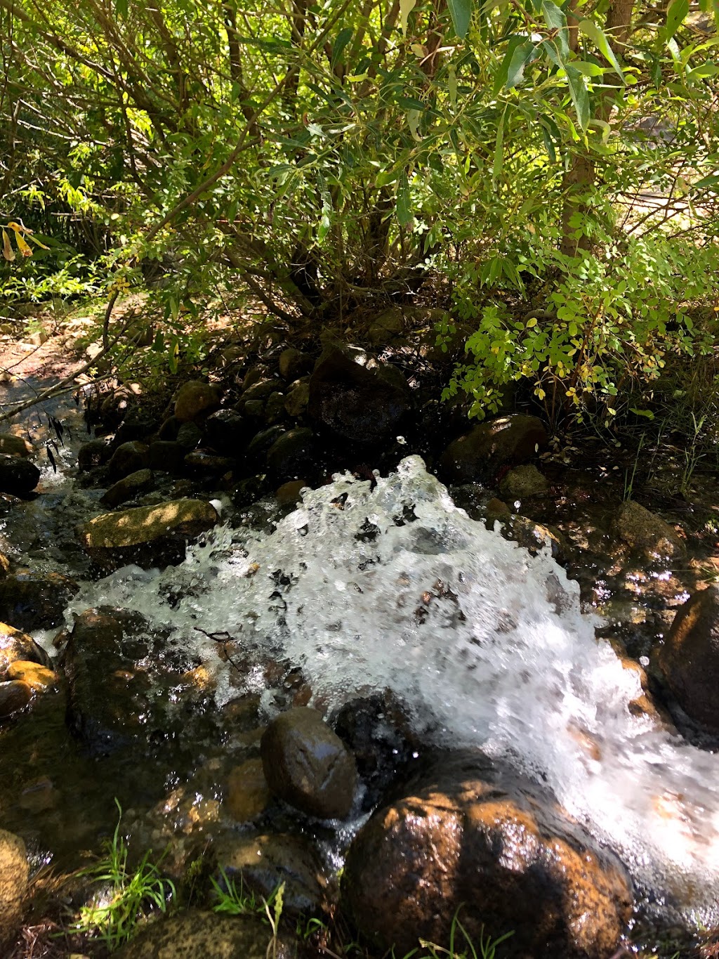 Galena Creek Recreation Area | Mt Rose Hwy, Reno, NV 89511, USA | Phone: (775) 964-2671