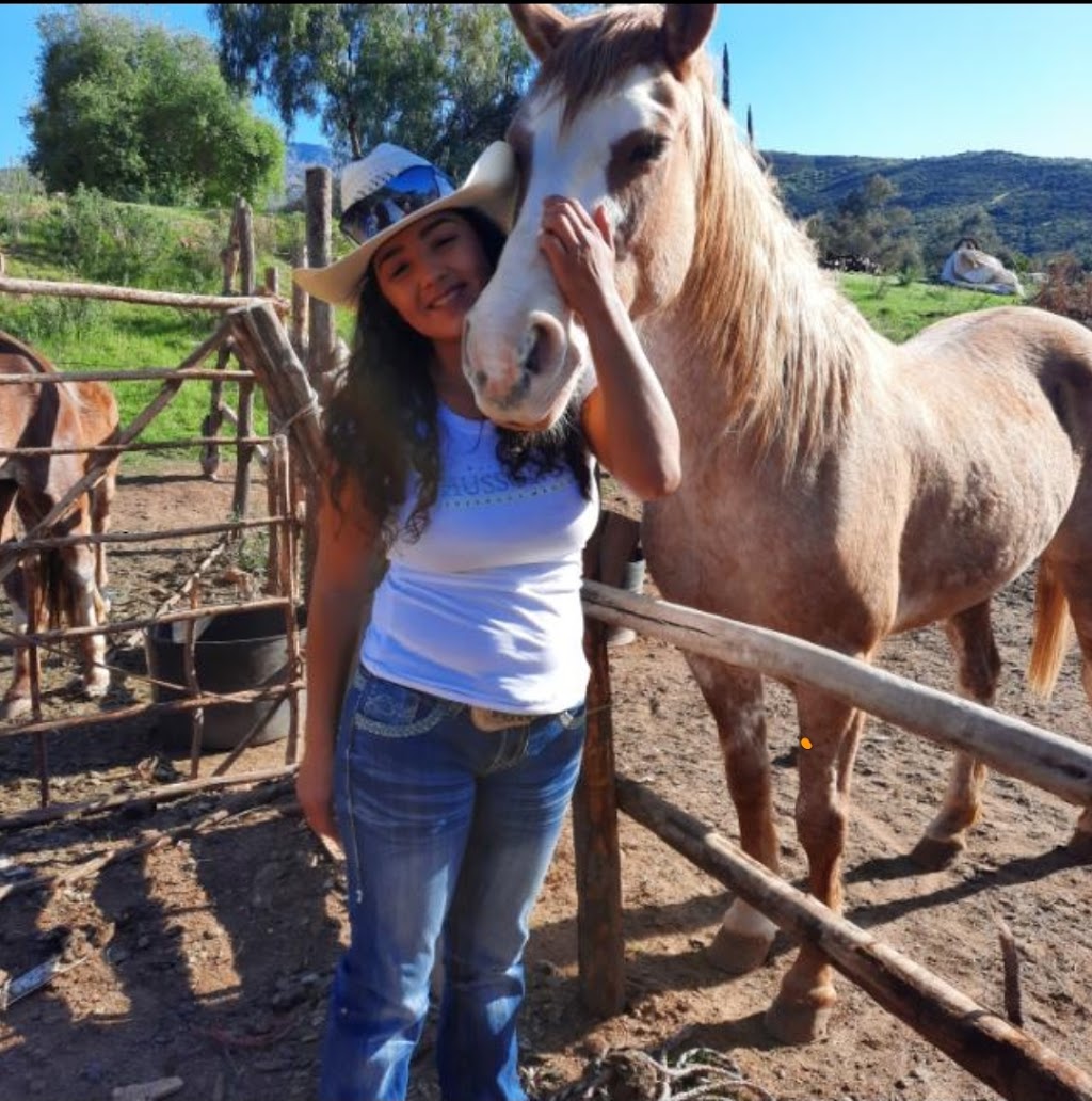 Tours Flores Horseback Riding | Native American Reservation San Antonio Necua, Ensenada 22760, 22756 B.C., Mexico | Phone: 646 109 7349