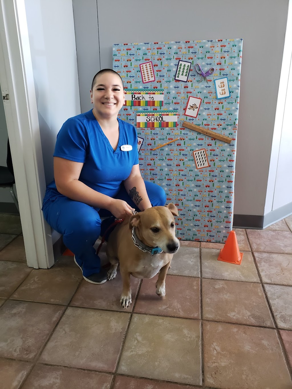 South Arlington Animal Clinic | 3315 S Collins St, Arlington, TX 76014, USA | Phone: (817) 274-3328