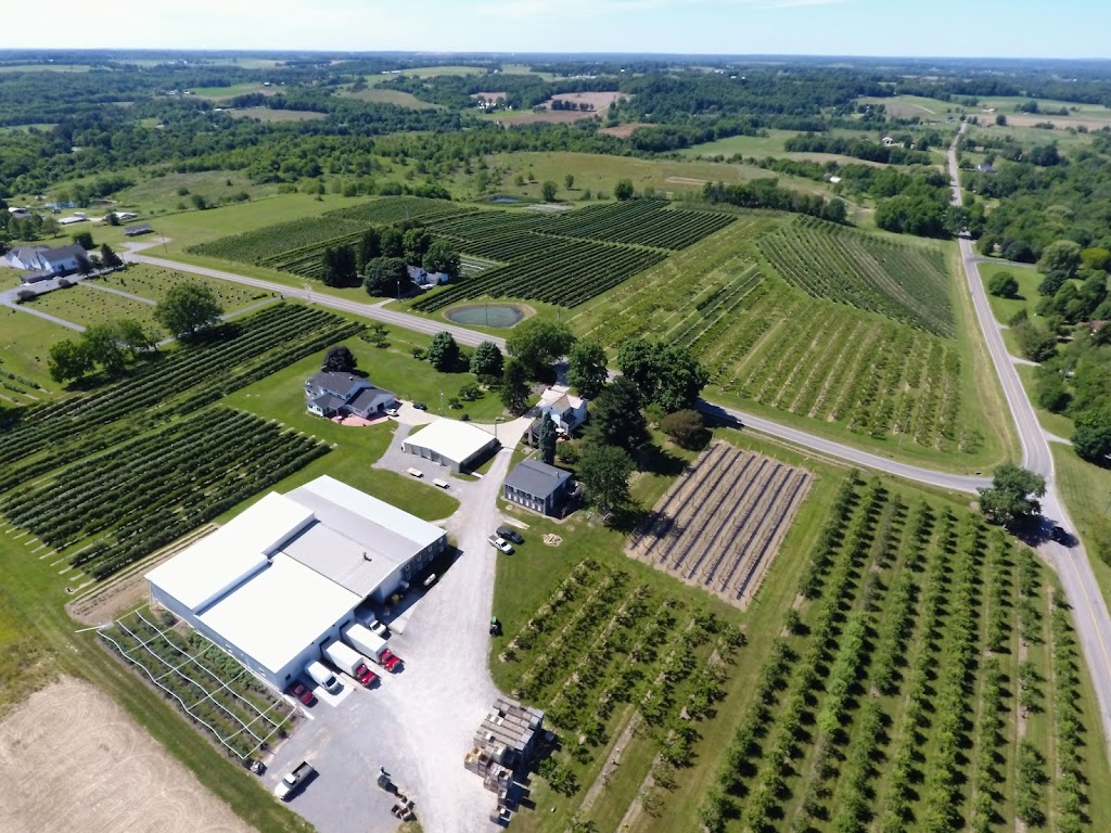 Dawsons Orchards, Inc. | 122 Petersburg Rd, Enon Valley, PA 16120, USA | Phone: (724) 667-7719