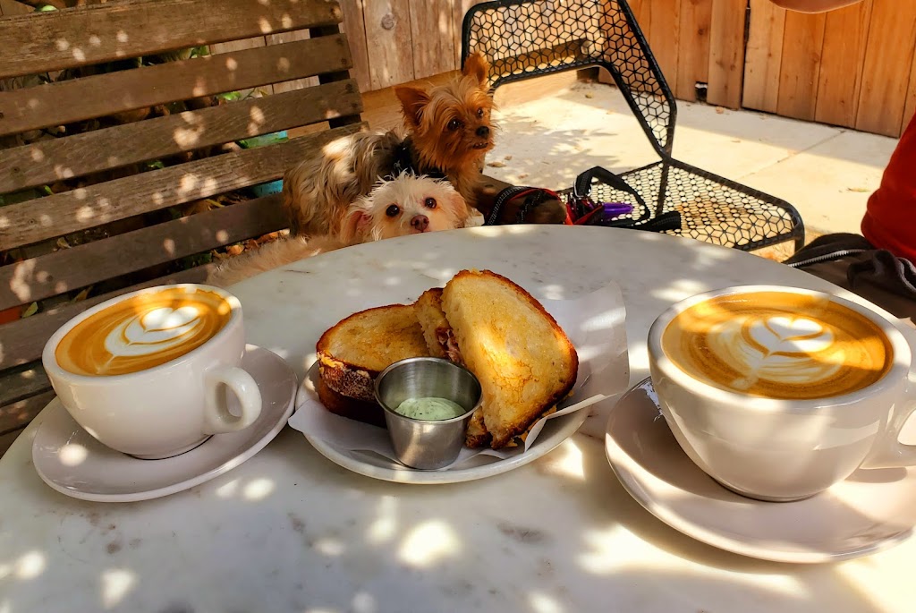 Xochi the Dog, Cafe | 1038 E 21st St, Oakland, CA 94606, USA | Phone: (510) 388-6926