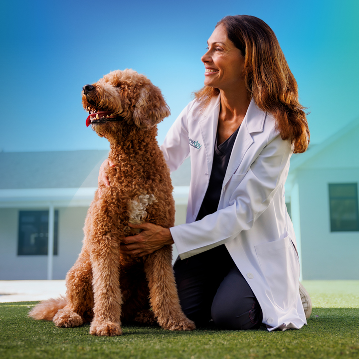 NewDay Veterinary Care | 15020 Brown Mill Rd, Huntersville, NC 28078, USA | Phone: (704) 885-5427