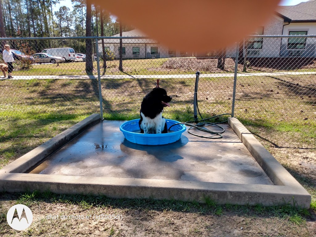 Pretty Acres Dog Park | 301 S Orchard Ln, Covington, LA 70433 | Phone: (985) 626-7997