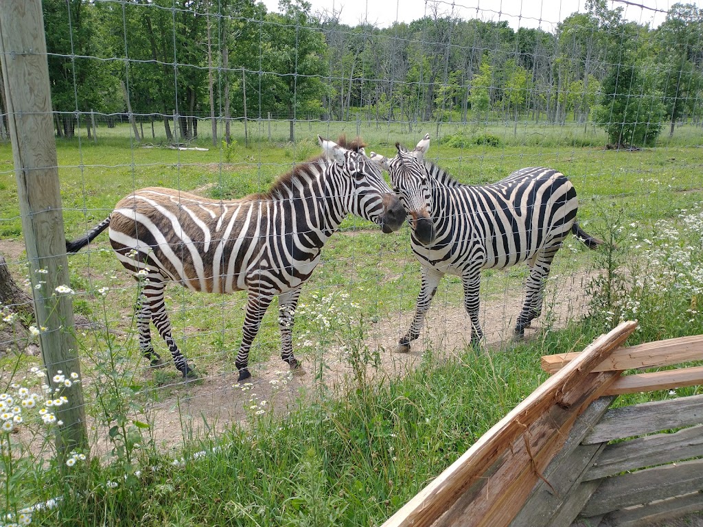 Shalom Wildlife Zoo | 1901 Shalom Dr, West Bend, WI 53090, USA | Phone: (262) 338-1310