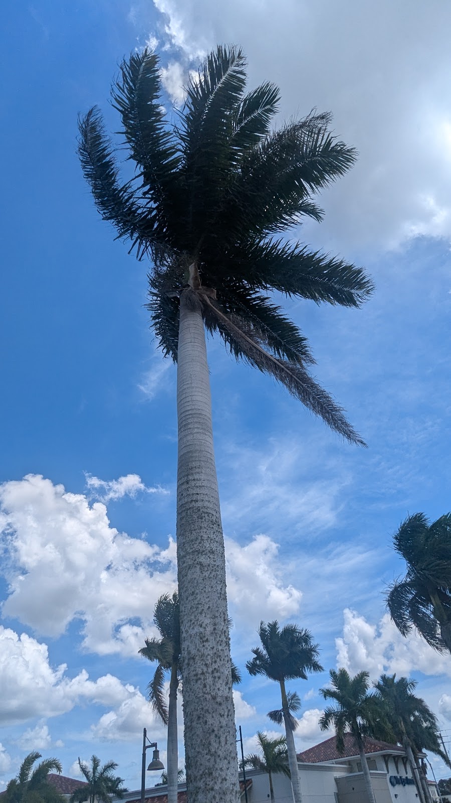 Berkshire Hathaway HomeServices Florida Realty | 1500 E Venice Ave #303, Venice, FL 34292, USA | Phone: (941) 207-5055