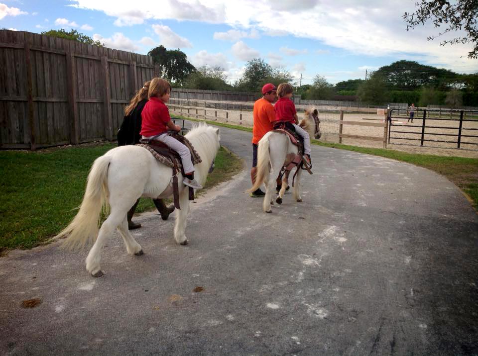 Freckle Farm Petting Zoo (Mobile Service ONLY) | 8982 E Malorie Lane, Coolidge, AZ 85128, USA | Phone: (480) 266-9570