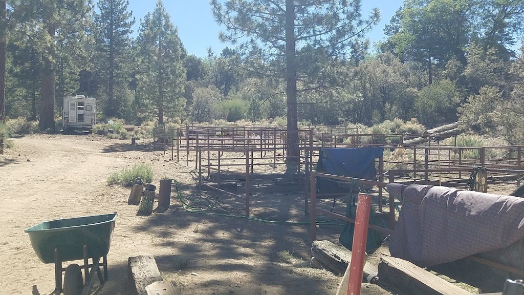 Wild Horse Equestrian Campground | 46620 CA-38, Angelus Oaks, CA 92305, USA | Phone: (877) 444-6777