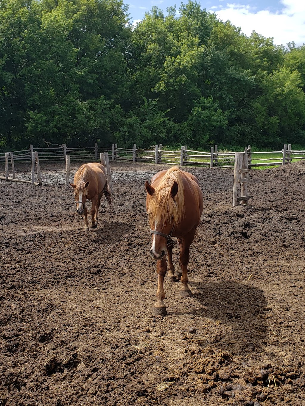 Oliver Kelley Farm | 15788 Kelly Farm Rd NW, Elk River, MN 55330, USA | Phone: (763) 441-6896