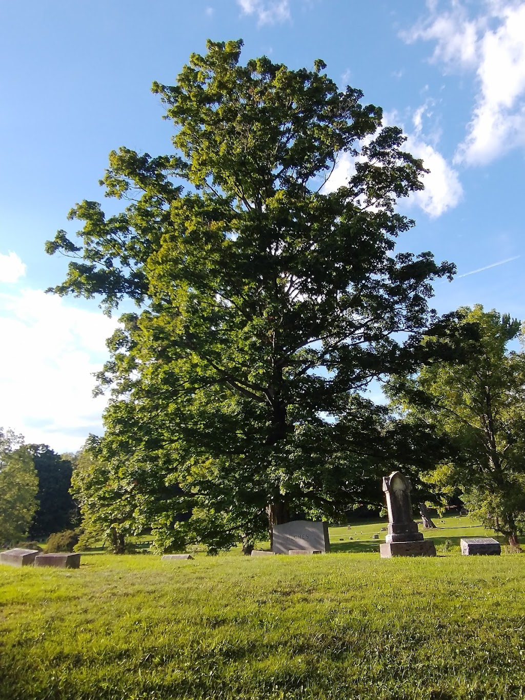 Sugar Grove Cemetery | 297 W Truesdell St, Wilmington, OH 45177, USA | Phone: (937) 382-6509