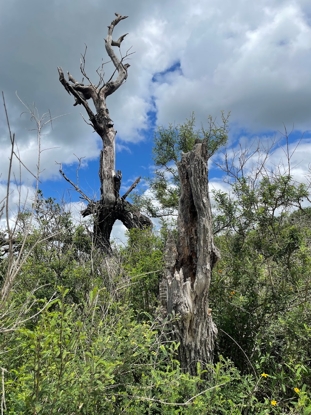 Milton Reimers Ranch Park | 23610 Hamilton Pool Rd, Dripping Springs, TX 78620, USA | Phone: (512) 264-1923