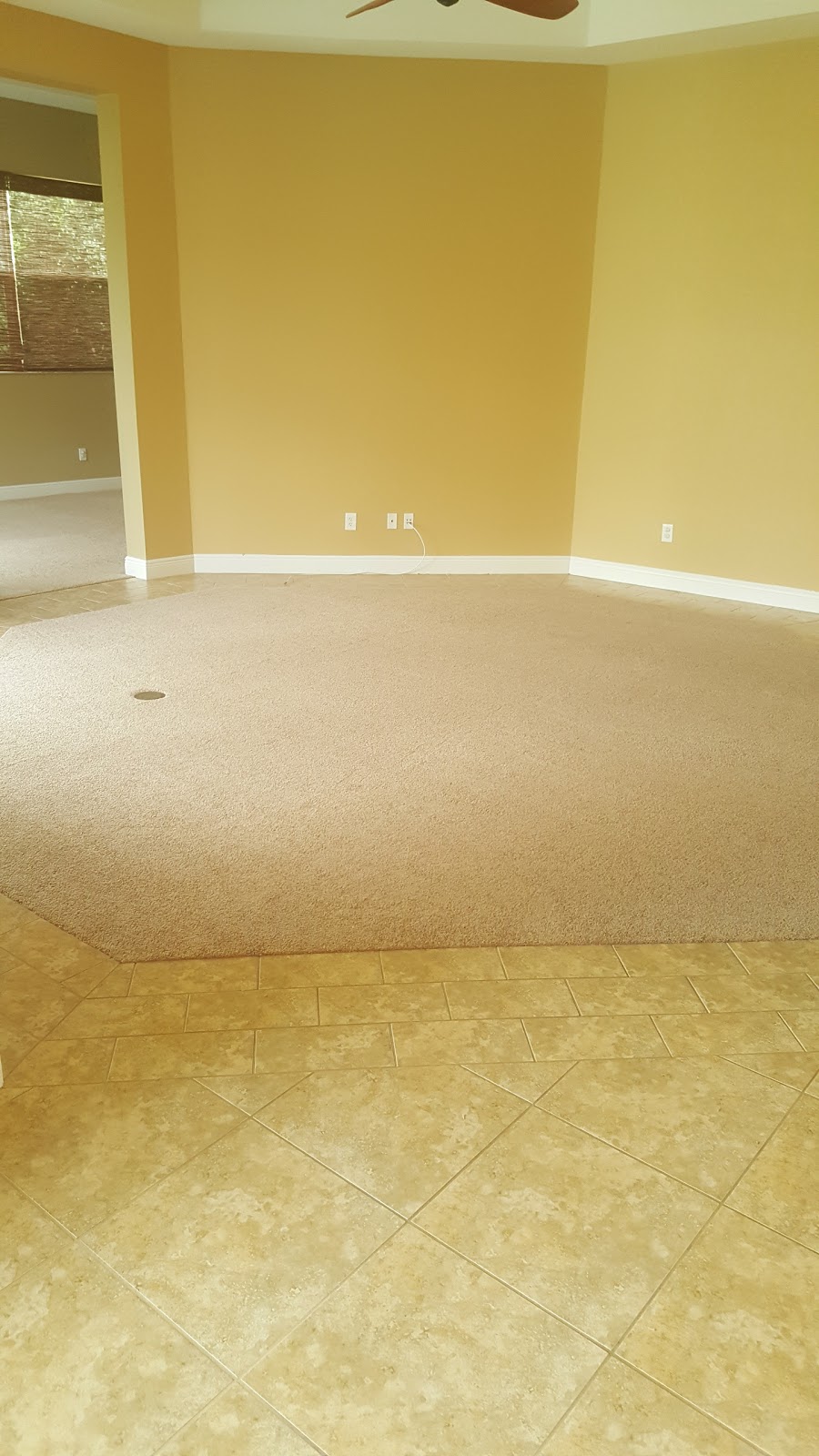 Bela Carpet Installations | 4039 Marlow Loop, Land O Lakes, FL 34639, USA | Phone: (813) 391-8442