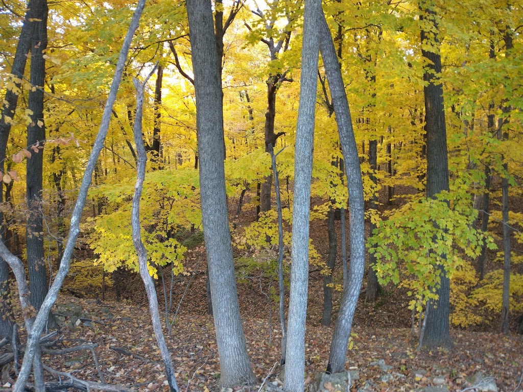 Scenic Overlook, Pere Marquette State Park | Grafton, IL 62037, USA | Phone: (618) 786-2331