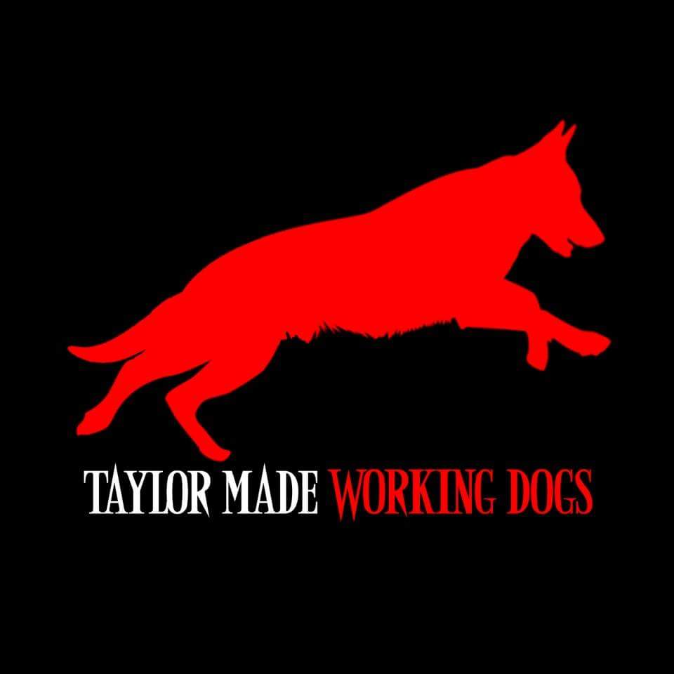 Taylor Made Working Dogs | 862 Gem Ln, Ramona, CA 92065, USA | Phone: (619) 726-4813